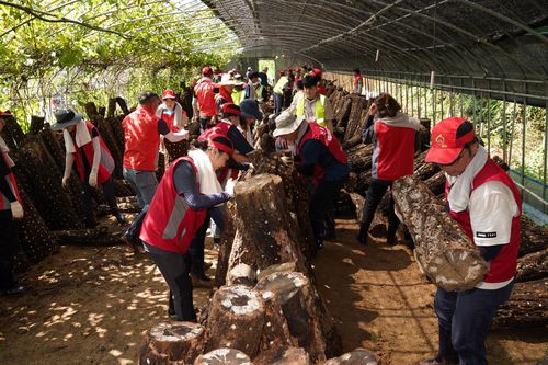 산림청, 공주서 수해 복구 지원[산림청 제공. 재판매 및 DB 금지]