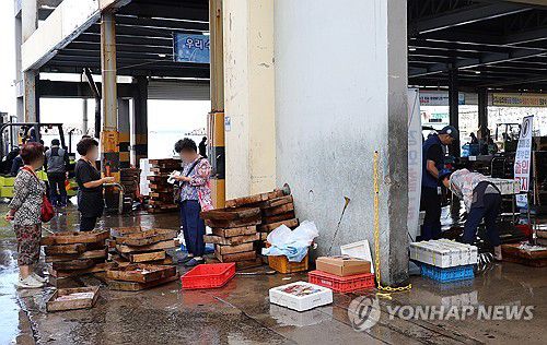 "갈치 보고 가세요"(제주=연합뉴스) 백나용 기자 = 31일 오전 제주시 수협 위판장 주변에서 상인들이 수산물을 판매하고 있다. 2023.8.31 dragon.me@yna.co.kr