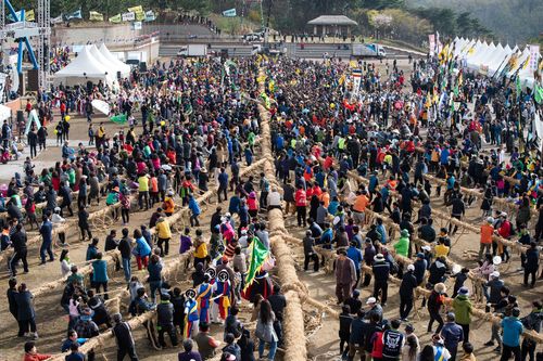 기지시줄다리기[국립무형유산원 제공. 재판매 및 DB 금지]