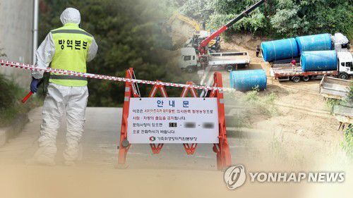 양돈농가 아프리카돼지열병(ASF) 발생(CG)[연합뉴스TV 제공]