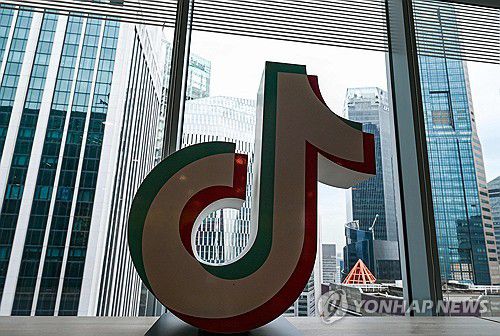 틱톡 [AFP=연합뉴스]