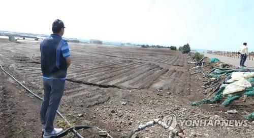 지난해 태풍 힌남노로 피해를 본 제주의 농경지[연합뉴스 자료]