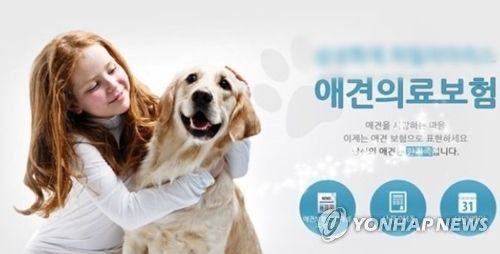 반려동물 보험 상품[삼성화재 제공]