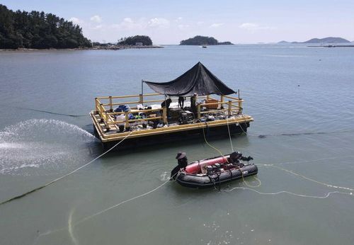 해남선 조사 장면[국립해양문화재연구소 제공. 재판매 및 DB 금지]