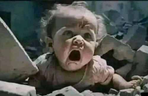 인공지능이 만들어낸 가짜 사진, 가자지구 참상으로 둔갑[X 캡처. 재판매 및 DB 금지]