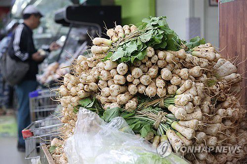 김장 수급 안정 대책 발표(서울=연합뉴스) 강민지 기자 = 정부가 김장재료 수급 안정을 위해 배추, 무, 등 농산물 약 1만1천t(톤)과 천일염 1만t을 시장에 공급하는 '김장재료 수급 안정 대책'을 2일 확정했다. 사진은 이날 서울의 한 대형마트에서 김장재료를 고르는 시민. 2023.11.2 mjkang@yna.co.kr