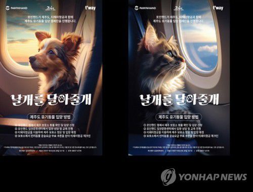 제주 유기동물 입양 캠페인 '날개를 달아줄개'[제주도 제공.재판매 및 DB 금지]