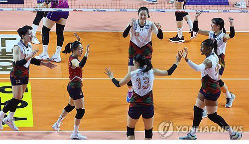 기뻐하는 현대건설(인천=연합뉴스) 임순석 기자 = 20일 인천 삼산월드체육관에서 열린 프로배구 V리그 여자부 흥국생명과 현대건설의 경기. 현대건설 선수들이 득점에 성공한 뒤 기뻐하고 있다. 2023.12.20 soonseok02@yna.co.kr