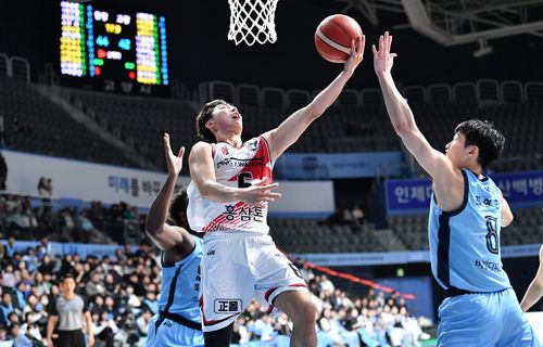 안양 정관장의 박지훈[KBL 제공. 재판매 및 DB금지]