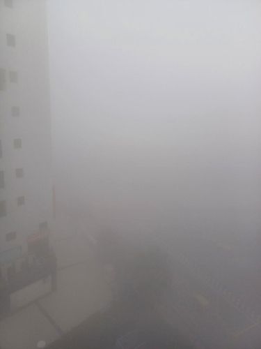 2024년 2월 2일 델리 동쪽 마유르비하르 구역의 안개 낀 거리  [촬영 유창엽 기자] 2024.02.02