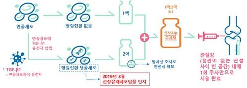 코오롱생명과학이 밝힌 인보사 제조 원리 [코오롱생명과학 제공]