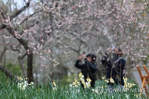 휴일 산책[연합뉴스 자료사진]
