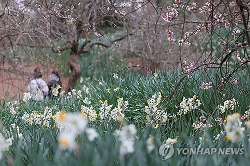 제주 정원 산책[연합뉴스 자료 사진]