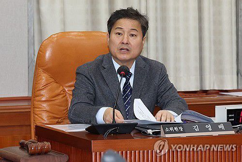 민주당 정개특위 간사인 김영배 의원자료사진