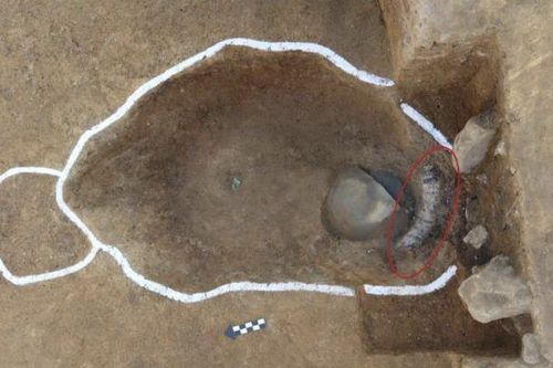 칠피갑옷이 출토됐을 당시 모습[국립부여문화재연구소 제공. 재판매 및 DB 금지]