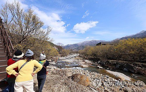 봄나들이 시민들(구례=연합뉴스) 조남수 기자 = 지리산 만복대 산등선에 하얀 눈이 내려앉아 있는 27일 전남 구례군 산동면 반곡마을에서 시민들이 노랗게 핀 산수유꽃을 감상하고 있다. 2024.2.27  iso64@yna.co.kr