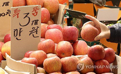 '손대기 무서운 사과 가격'(서울=연합뉴스) 김성민 기자 = 사과에 이어 귤까지 가격이 급등하며 신선과실 물가가 2월에 41.2% 올라 32년만에 최고치로 치솟았다. 귤은 지난달 78.1%, 사과가 71.0% 상승했고 같은 기간 배(61.1%)와 딸기(23.3%) 가격도 올랐다.     사진은 6일 오후 서울 동대문구 청량리청과물시장에서 한 시민이 사과를 둘러보고 있다. 2024.3.6 ksm7976@yna.co.kr