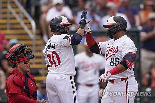 미네소타 트윈스의 경기 모습. [AP=연합뉴스]