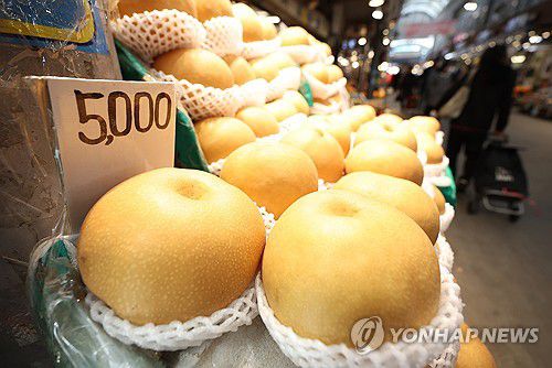 32년 만에 최고치로 치솟은 신선과실 물가(서울=연합뉴스) 김성민 기자 = 사과에 이어 귤까지 가격이 급등하며 신선과실 물가가 2월에 41.2% 올라 32년 만에 최고치로 치솟았다. 귤은 지난달 78.1%, 사과가 71.0% 상승했고 같은 기간 배(61.1%)와 딸기(23.3%) 가격도 올랐다.     사진은 6일 오후 서울 동대문구 청량리청과물시장에서 한 상인이 배를 팔고 있다. 2024.3.6 ksm7976@yna.co.kr