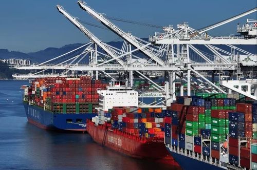 ZPMC가 제작한 크레인[FT 홈페이지 캡처. 재판매 및 DB금지]