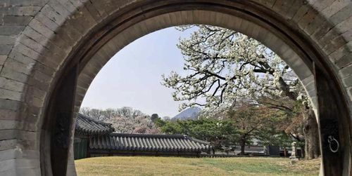 낙선재 후원 만월문에서 바라본 모습[문화재청 제공. 재판매 및 DB 금지]