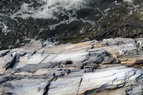 지난해 포항 블루밸리산업단지에서 발견된 나무화석[촬영 손대성]