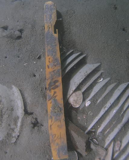 태안선에서 나온 '탐진'명 목간[국립해양문화재연구소 제공. 재판매 및 DB 금지]