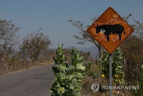 멕시코 CJNG 카르텔 활동지 중 한 곳인 나랑호데칠라 도로 표지판에 총탄 흔적이 남아 있는 모습[EPA 연합뉴스 자료사진. 재판매 및 DB 금지]