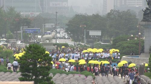 다큐 '바람의 세월'[시네마 달 제공. 재판매 및 DB 금지]