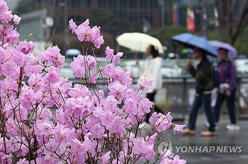 비 내리는 거리[연합뉴스 자료사진]