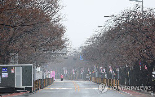 벚꽃 없는 벚꽃축제(서울=연합뉴스) 김도훈 기자 = 여의도봄꽃축제 개막일인 29일 오후 아직 벚꽃이 피지 않은 서울 여의도 윤중로 일대가 한산하다. 2024.3.29 superdoo82@yna.co.kr
