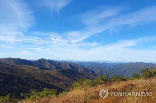 맑은 날씨[촬영 손대성]