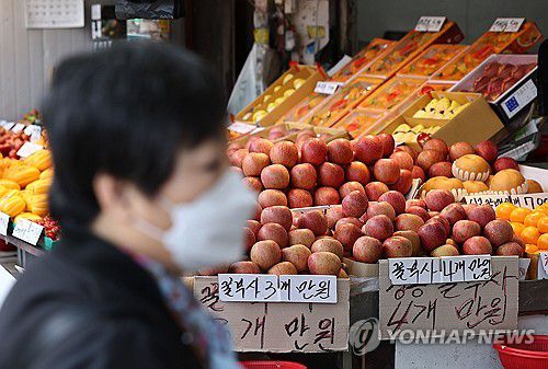 내려가는 사과 가격?(서울=연합뉴스) 류영석 기자 = 농축산물 물가 안정을 위한 정부의 대규모 자금 투입 이후 사과, 배 등의 소매 가격이 10% 넘게 하락한 것으로 나타난 가운데 24일 서울 경동시장에서 사과가 진열되어 있다.      이날 한국농수산식품유통공사(aT) 농산물유통정보에 따르면 22일 기준으로 사과(후지·상품) 10개 소매가격은 2만4천250원으로 일주일 전인 15일보다 11.6% 내렸다. 2024.3.24 ondol@yna.co.kr