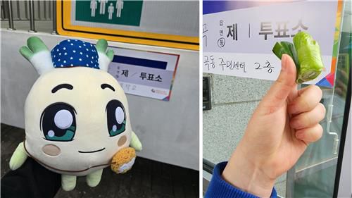 SNS 투표소 인증사진에 올라온 대파 인형과 대파 조각[X 캡처. 재판매 및 DB 금지]