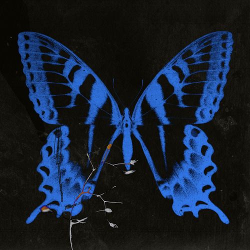 '공중무용' 커버 이미지[매직스트로베리사운드 제공. 재판매 및 DB 금지]