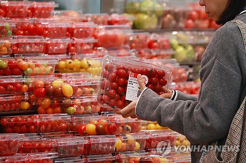 방울토마토 평년보다 64% 비싸(서울=연합뉴스) 진연수 기자 = 정부의 대대적인 지원으로 주요 과일과 과채류 가격이 일제히 하락세를 보이고 있으나 방울토마토 가격은 오히려 30% 올랐다. 다른 품목과 달리 방울토마토는 정부 할인이나 납품단가 지원 대상에서 빠져 있기 때문으로 풀이된다. 27일 농수산식품유통공사(aT) 농산물유통정보에 따르면 전날(26일) 기준 방울토마토 평균 소매가격은 1㎏당 1만4천533원으로 1년 전(1만1천176원)보다 30% 올랐다. 이는 평년(8천847원)보다 64% 비싸다. 사진은 이날 서울 시내 한 대형마트에서 방울토마토를 구매하는 시민. 2024.3.27 jin90@yna.co.kr