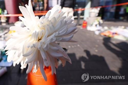 통제선 앞 국화(서울=연합뉴스) 김도훈 기자 = 6일 오후 서울 용산구 이태원역 인근 사고 현장 골목길에 설치된 경찰통제선 앞에 추모객들이 준비한 국화가 놓여 있다. 2022.11.6