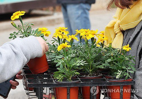 세월호를 기억하며(안산=연합뉴스) 홍기원 기자 = 8일 오후 경기도 안산시 단원고등학교 앞 원고잔공원에서 열린 '4.16 세월호 참사 10주기 기억선포식'에서 참석자들이 단원고등학교 학생들에게 노란 꽃을 나눠주고 있다. 2024.4.8 xanadu@yna.co.kr