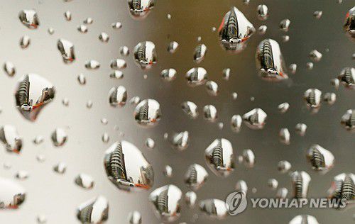 비 내리는 풍경[연합뉴스 자료사진]
