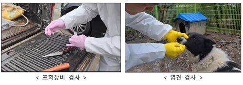 아프리카돼지열병 방역관리 강화[환경부 제공. 재판매 및 DB 금지]