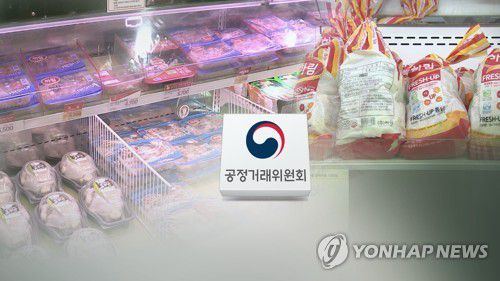 (CG)[연합뉴스TV 제공]