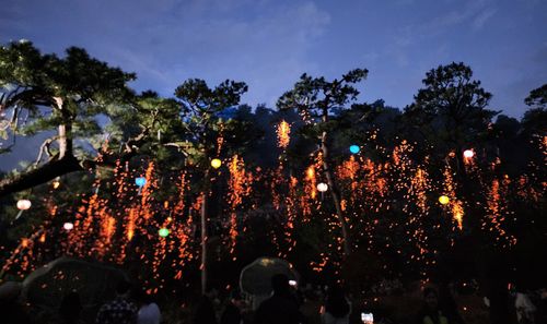 2023 세종낙화축제 장면[세종시 제공. 재판매 및 DB 금지]