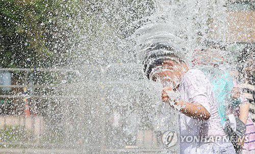 더위 피해 시원하게[연합뉴스 자료사진]