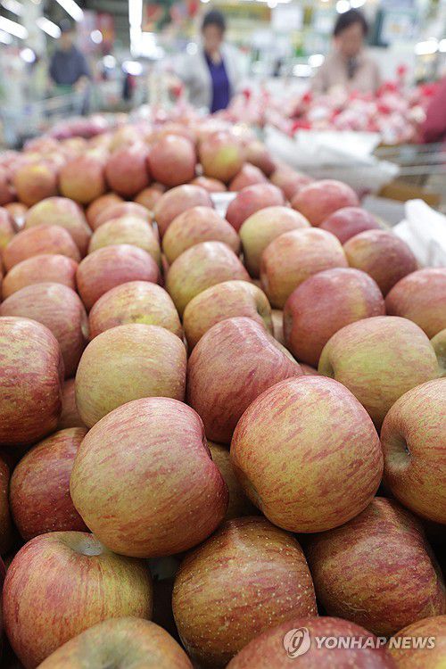 사과 공급 감소 전망(서울=연합뉴스) 강민지 기자 = 사과와 뱃값이 고공행진을 이어가고 있는 8일 서울의 한 대형마트에서 시민이 장을 보고 있다. 한국농촌경제연구원의 '농업관측 5월호 과일' 보고서에 따르면 이달부터 7월까지 사과와 배 출하량이 1년 전보다 각각 29.1%, 84.3% 감소할 것으로 예측됐다. 2024.5.8 mjkang@yna.co.kr