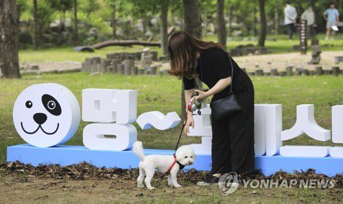 반려견 여행 이벤트에 참가한 반려견 가족반려견 여행 이벤트에 참가한 반려견 가족 [촬영 성연재]