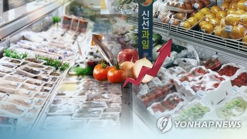 물가 상승(CG)[연합뉴스TV 제공]