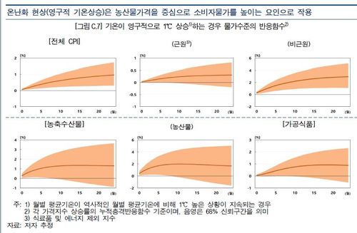 영구적 1℃ 상승에 대한 물가 수준의 반응 함수[한국은행 제공.재판매 및 DB 금지]