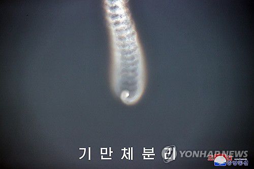 북, 어제 다탄두미사일 시험…"개별기동 탄두분리·유도조종 성공"(평양 조선중앙통신=연합뉴스) 북한이 우리 군이 실패로 판단한 지난 26일 탄도미사일 발사가 다탄두 능력 확보를 위한 '성공적' 시험이었다고 주장했다. 조선중앙통신은 27일 "미사일총국은 26일 미사일 기술력 고도화 목표 달성에서 중대한 의미를 가지는 개별기동 전투부(탄두) 분리 및 유도조종시험을 성공적으로 진행하였다"고 밝혔다.2024.6.27      [국내에서만 사용가능. 재배포 금지. For Use Only in the Republic of Korea. No Redistribution] nkphoto@yna.co.kr