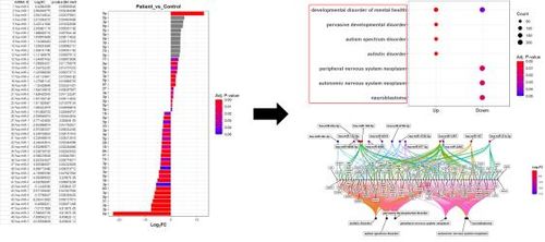 정상군과 과민대장증후군 환자군의 엑소좀 마이크로RNA 비교[한국한의학연구원 제공. 재판매 및 DB 금지]