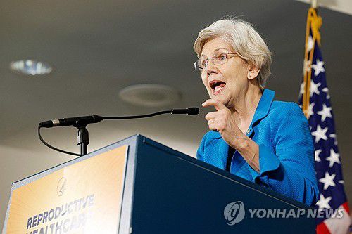 엘리자베스 워런 미 연방 상원의원[AFP 연합뉴스 자료사진. 재판매 및 DB 금지]